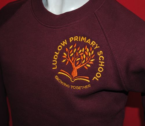 Ludlow Primary Sweatshirt